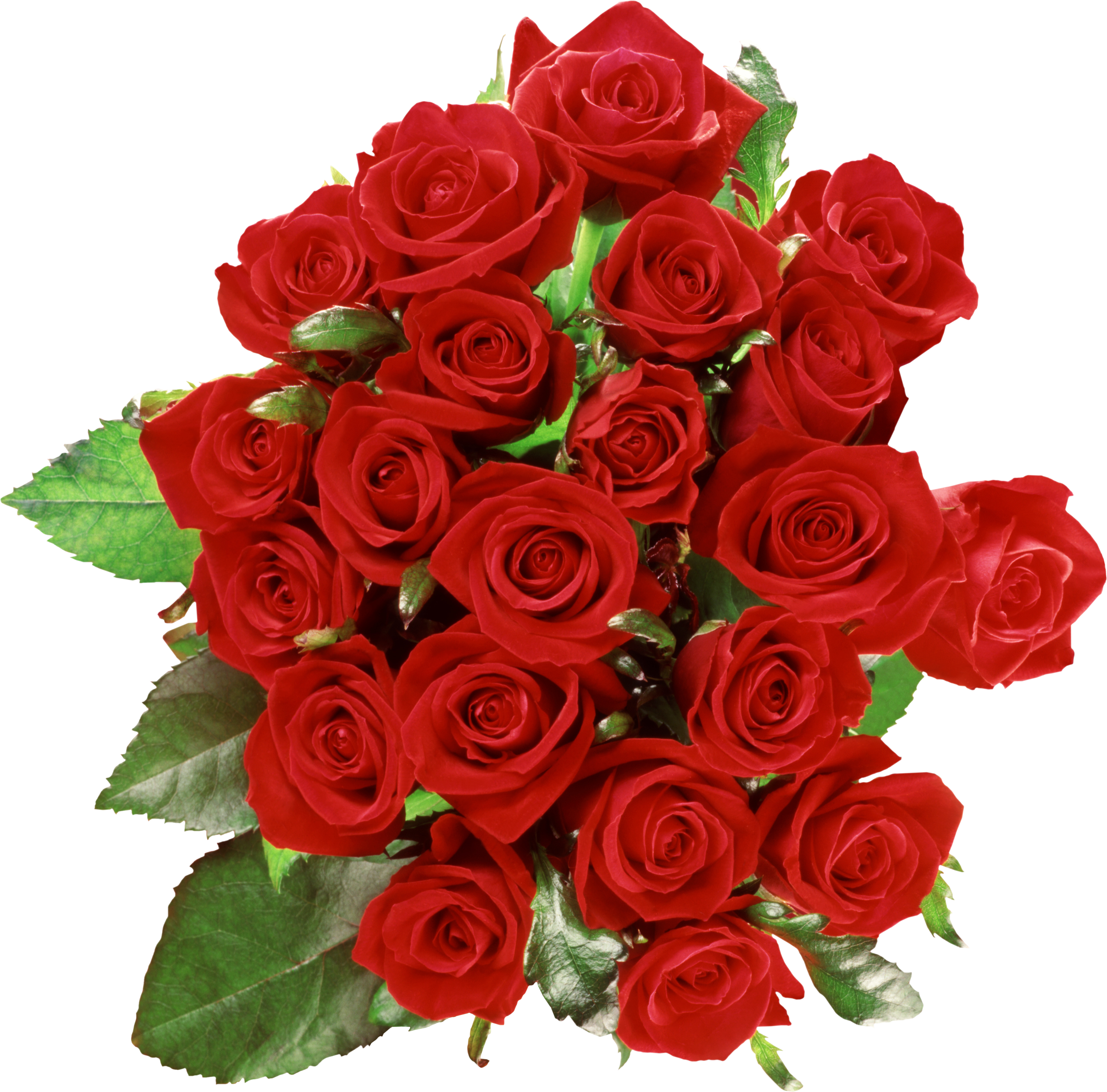 Image  Bouquet Of Roses Png Image Free Picture Download   Bouquet Of