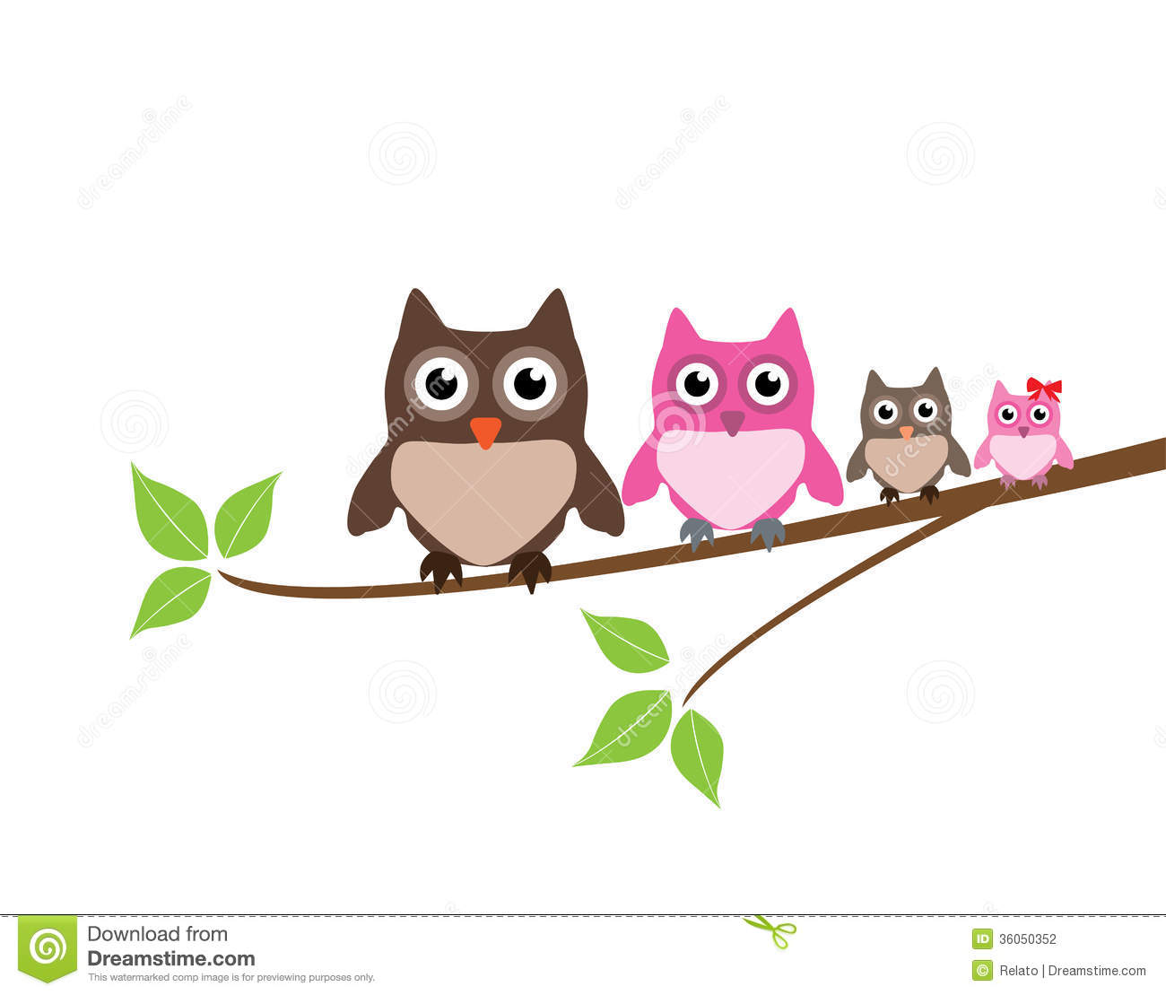 Owl Family Stock Photography   Image  36050352