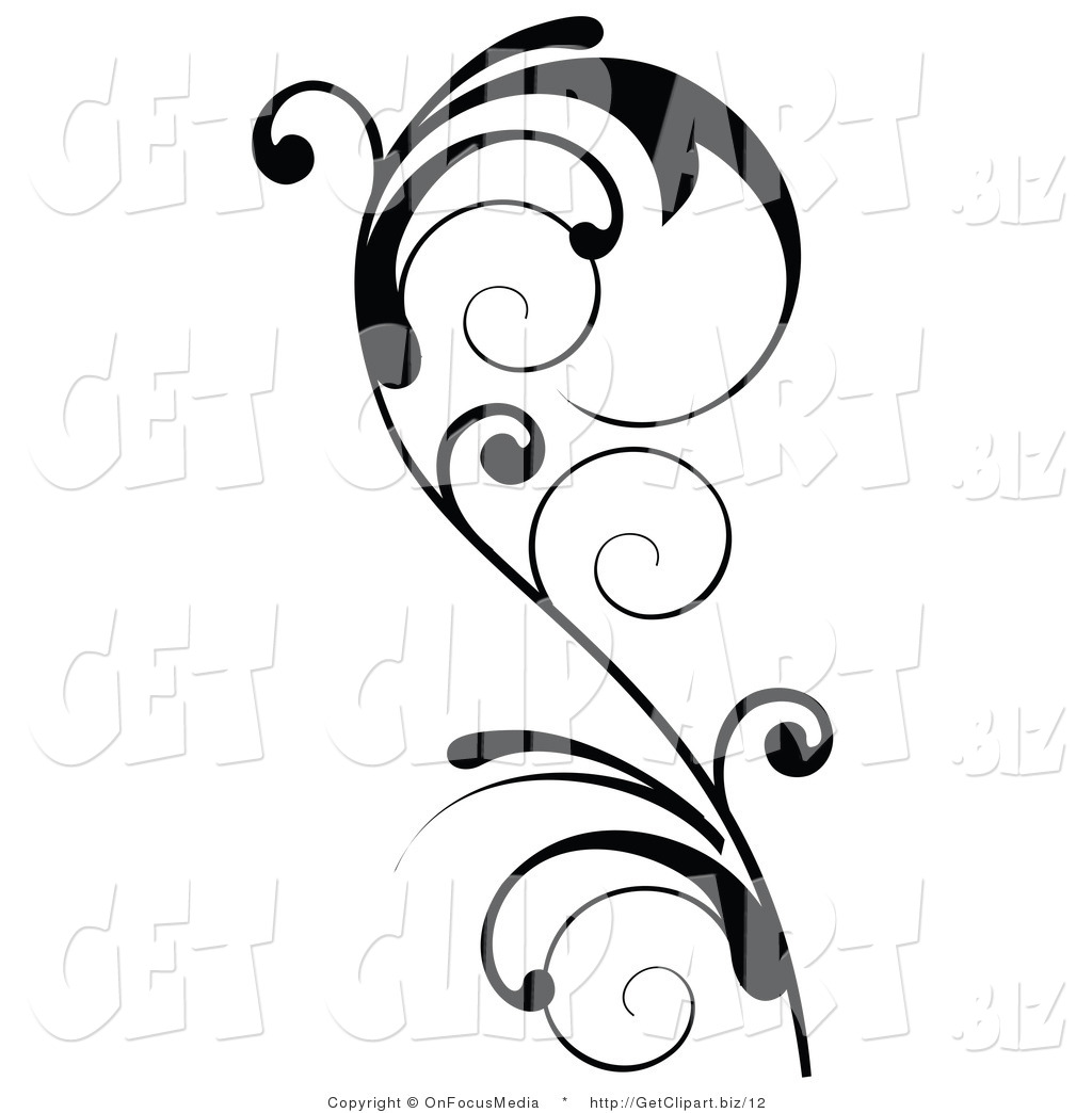 Delicate Black Swirling Design Accent Of A Curly Vine By Onfocusmedia