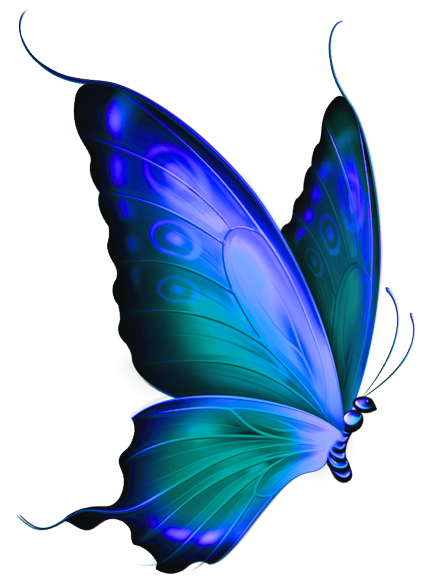 Blue Butterfly Clipart   Clipart Panda   Free Clipart Images