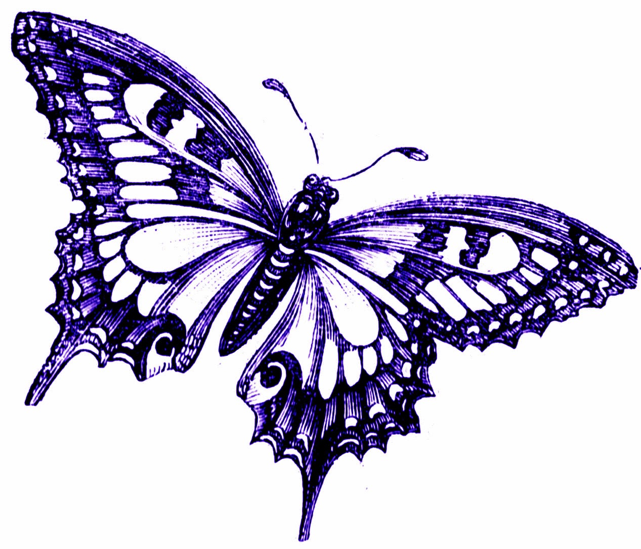 Free Vintage Printable Butterfly Clipart Jpg