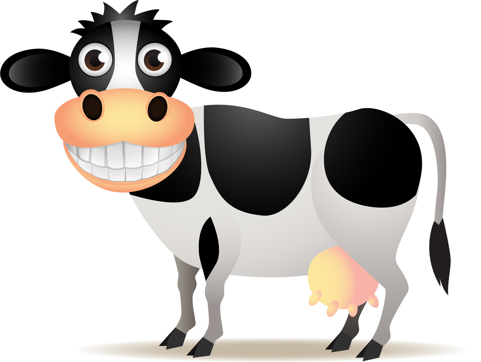 Happy Cow   Autism In Children Help