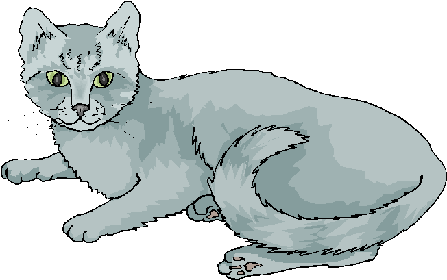 Funny Grey Cat Laying On A Floor Free Clipart   Free Microsoft Clipart
