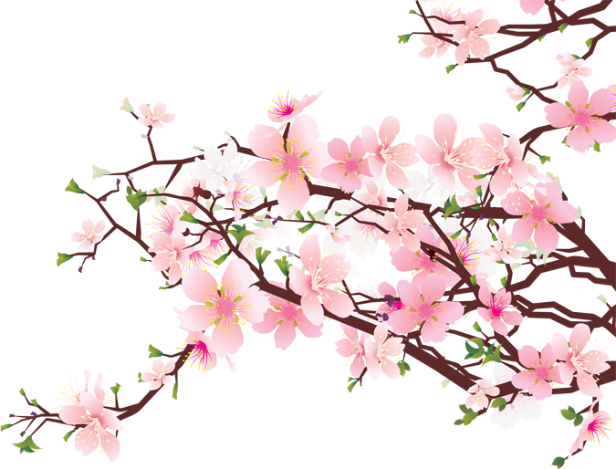 14 Cherry Blossom Tree Clip Art   Free Cliparts That You Can Download