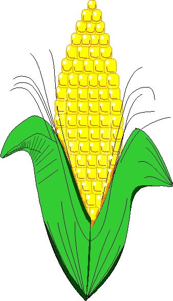 Corn Plant Clipart Clip Art  Plant
