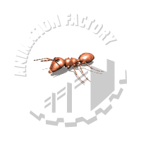 Ant Crawling Animated Clipart