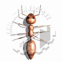 Ant Crawling Up Animated Clipart