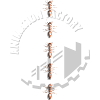 Ants Crawling From Bottom To Top Animated Clipart