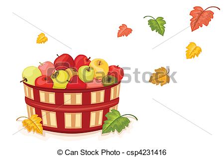 Autumn Harvest With Wicker Basket Filled With Tasty Apples  Isolated