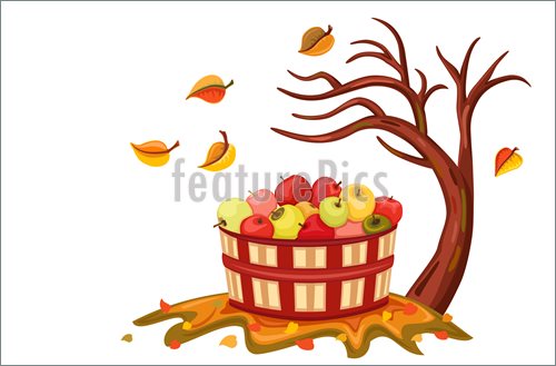 Rich Apple Harvest In Autumn