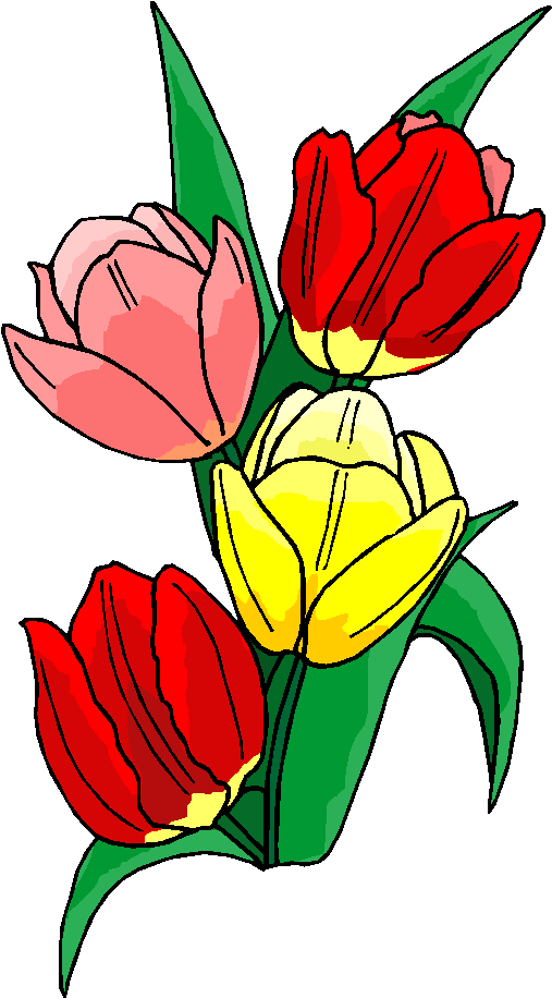 Colorful Flower Free Clipart From Free Microsoft Clipart Download This