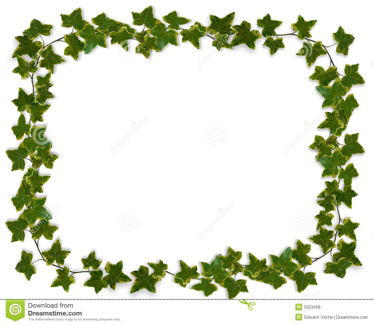 Ivy Leaves Image Composition For Background Border Frame Invitation