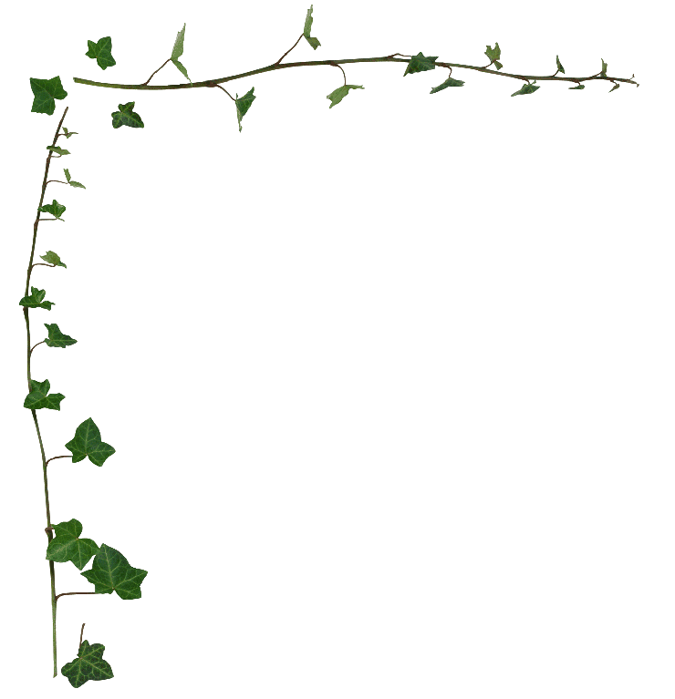Leaf Border Clipart Ivy Border Clipart Pictures To Pin On Pinterest