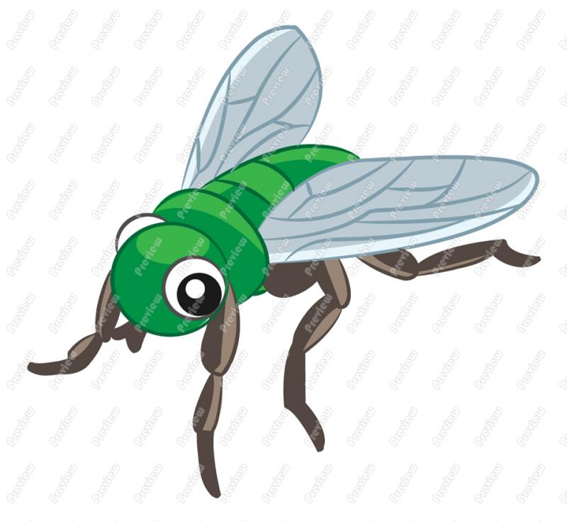 Fly Clip Art 669 Formats Included With This Fly Clip