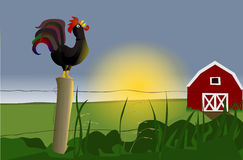 Rooster Morning Clipart Early Morning Rooster Stock