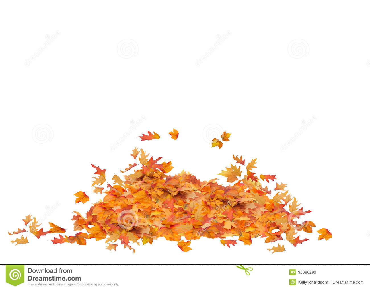 Pile Of Fall Leaves Isolated Orange Red Yellow And Brown Colors