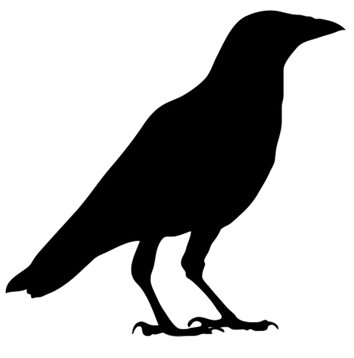 Bird Silhouette Png Silhouette Of Robin Png Pigeon Silhouette Png Crow