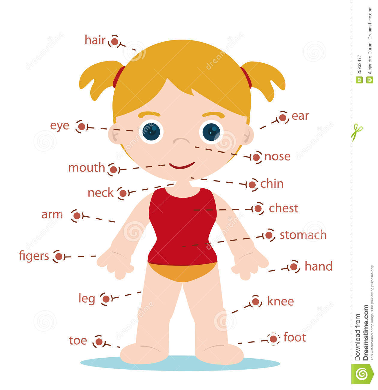 Go Back   Images For   Body Parts Clipart