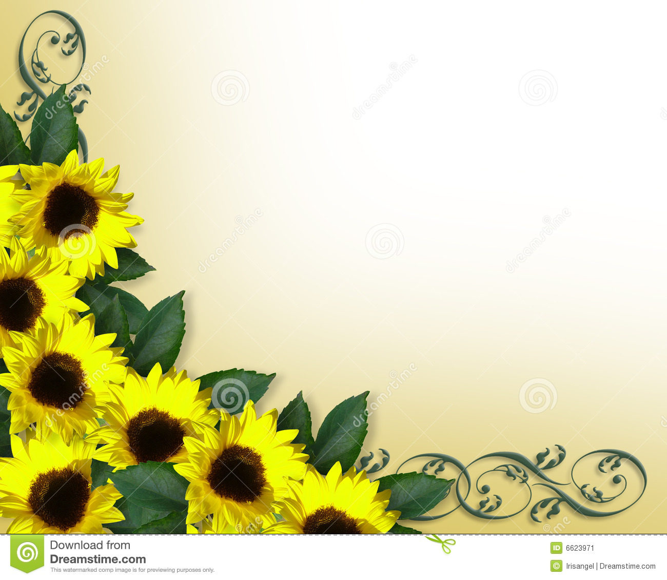 Sunflowers Border Yellow Spring Stock Image   Image  6623971