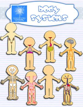 Human Body Systems Clipart