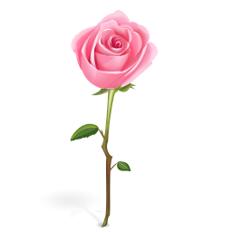 Pink Rose  Free Cliparts