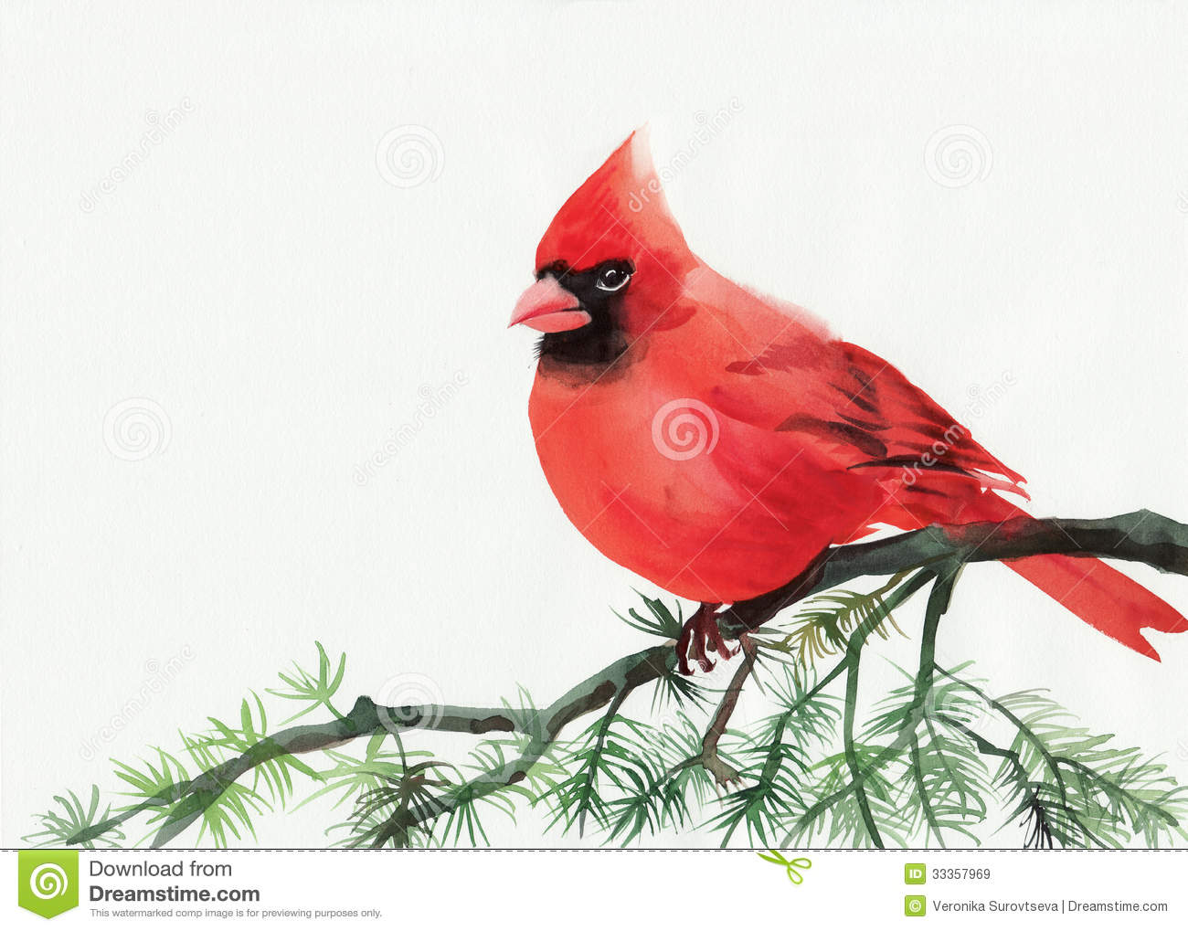 Watercolor Painting Of Cardinal Bird Sitting On A Branch