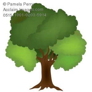 Clip Art Illustration Of A Leafy Oak Tree   Acclaim Stock Photography
