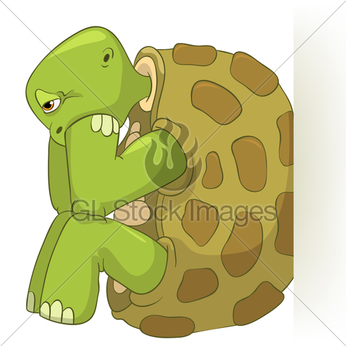 Funny Turtle  Confusion    Gl Stock Images