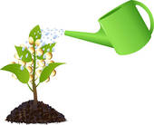 Money Plant With Watering Can   Royalty Free Clip Art