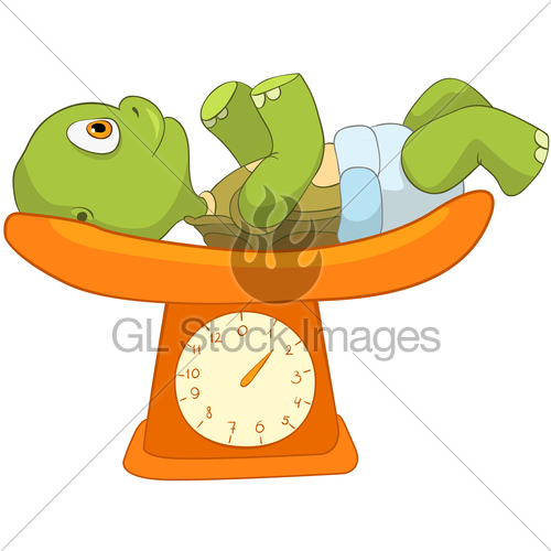 Related Pictures Clipart Vector Funny Turtle Baby Measure Cartoon
