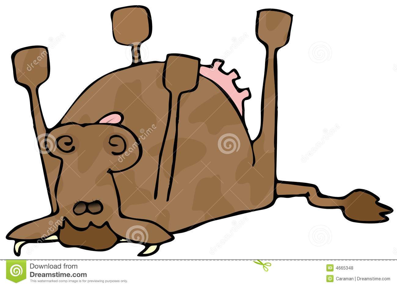 This Illustration Depicts A Cow Dead And Laying On Its Back