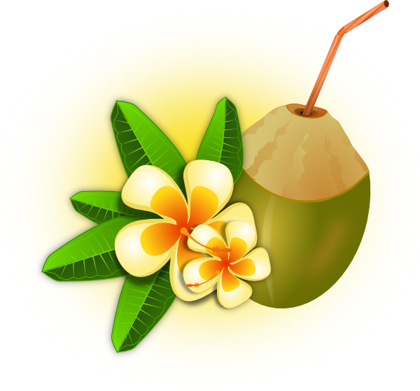 Flower With Coconut Drink Clip Art At Clker Com   Vector Clip Art
