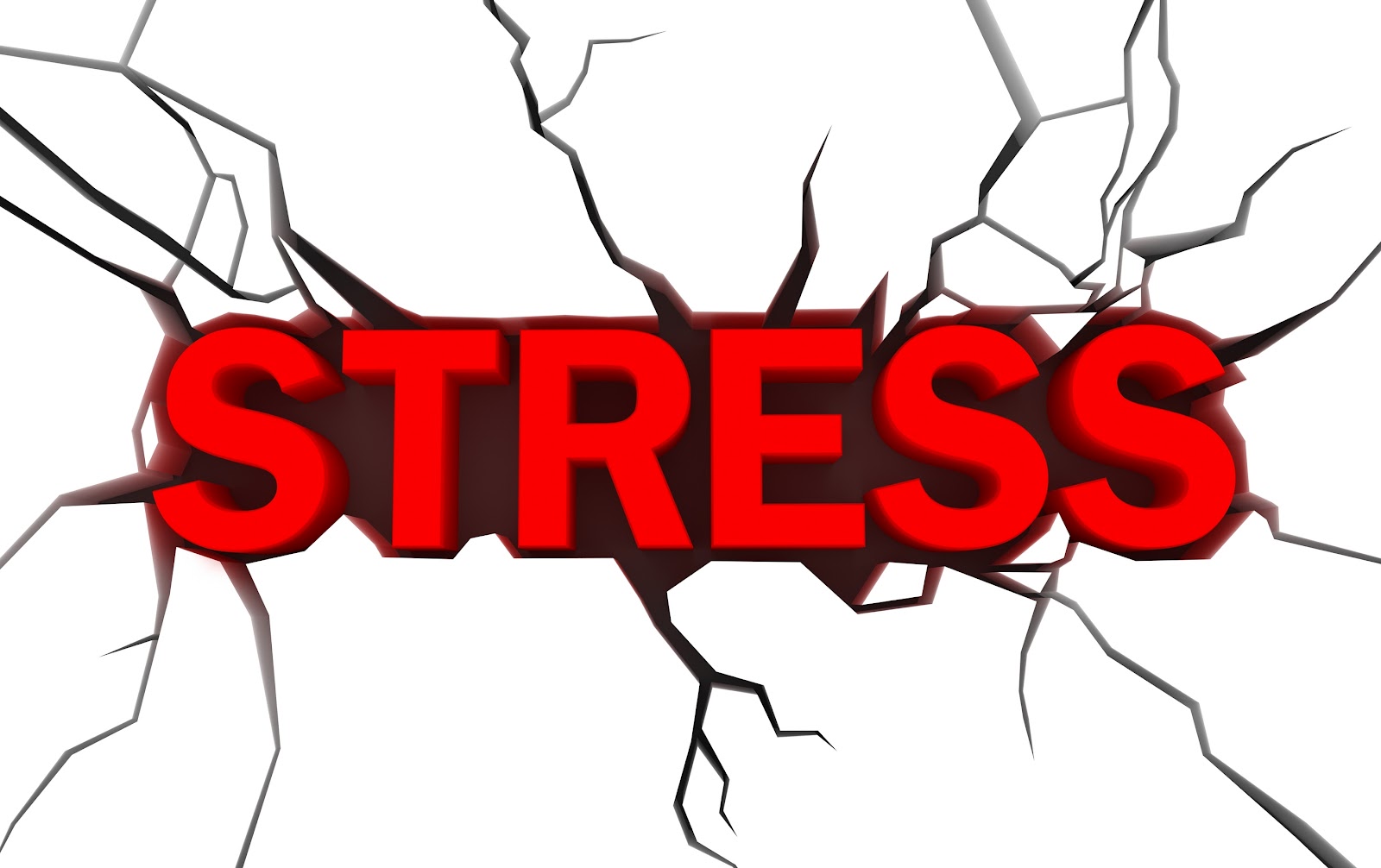 Stress  The Effects On Your Health   Md Home Health