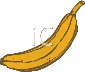 Big Yellow Banana   Royalty Free Clipart Picture