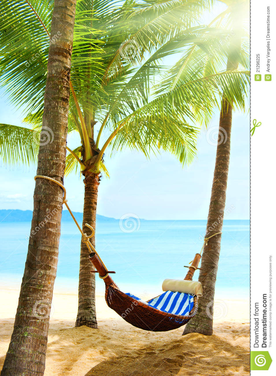 Empty Hammock Between Palm Trees Royalty Free Stock Photo   Image