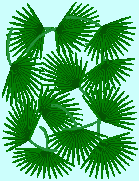 Go Back   Gallery For   Palm Leaves Clipart