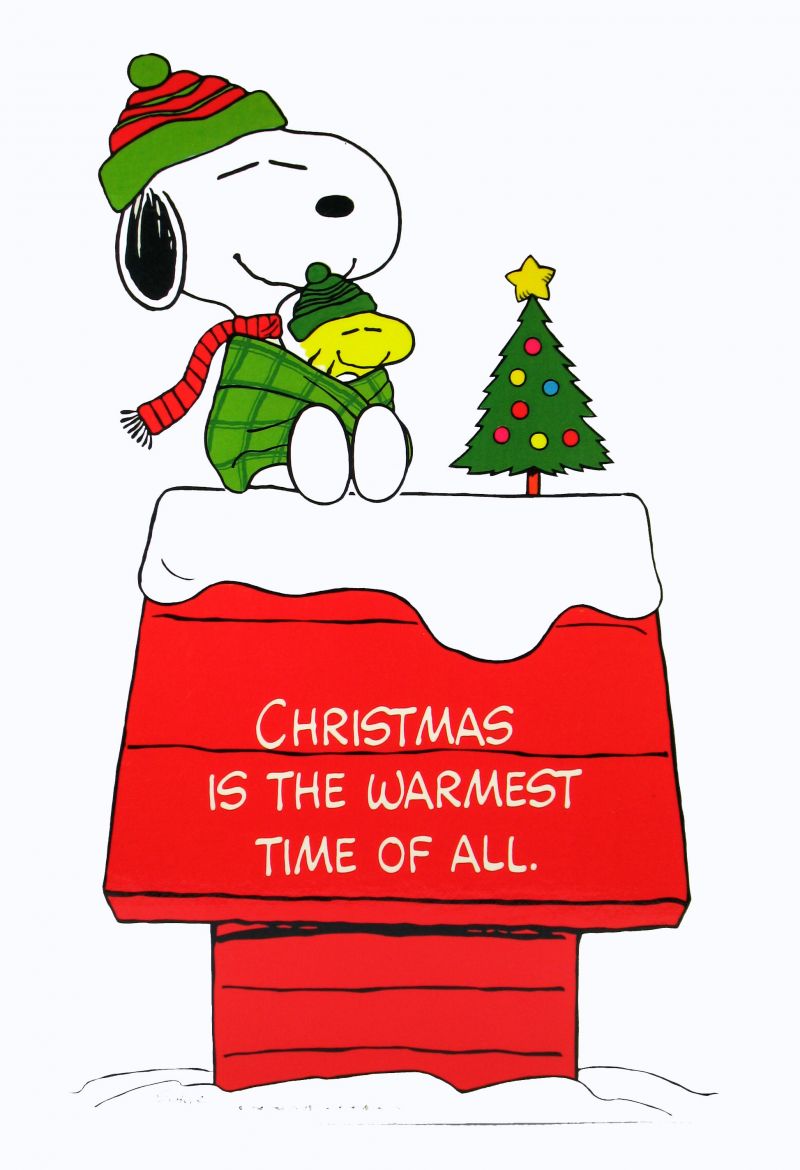 Laminated Snoopy Christmas Wall Decor  Snoopn4pnuts Com