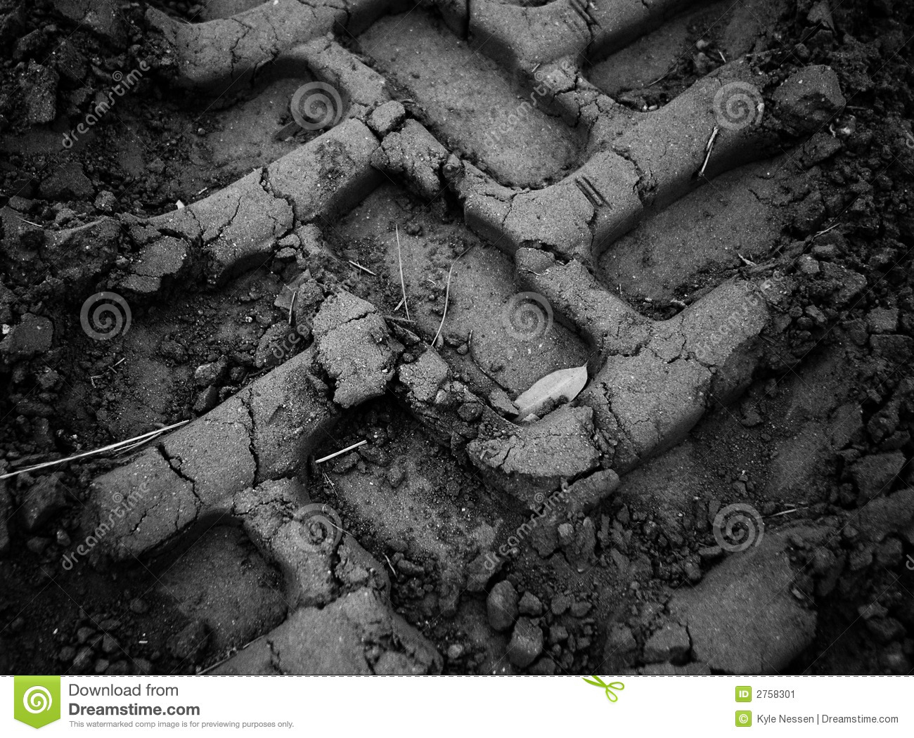 Mud Tracks Stock Image   Image  2758301