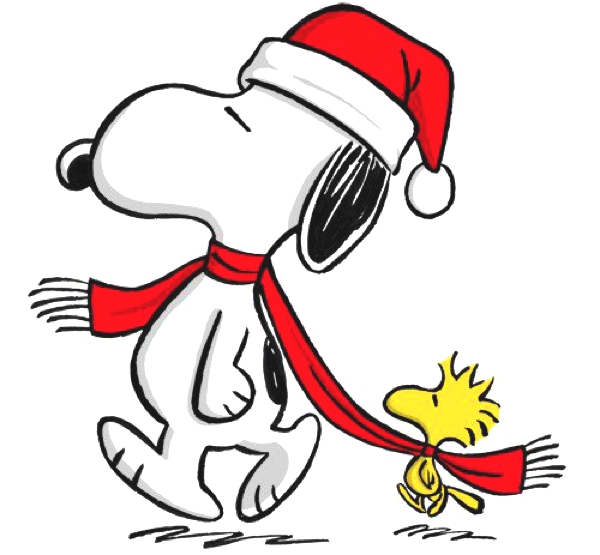 Snoopy Christmas Images   Quotes Lol Rofl Com