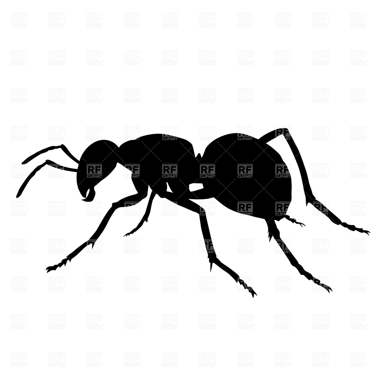 Ant Silhouette Download Royalty Free Vector Clipart  Eps