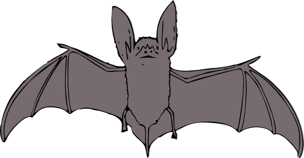 Bat Clip Art At Clker Com   Vector Clip Art Online Royalty Free