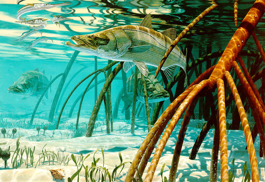 Snook In The Mangroves Painting