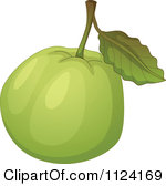 Royalty Free  Rf  Guava Clipart Illustrations Vector Graphics  1