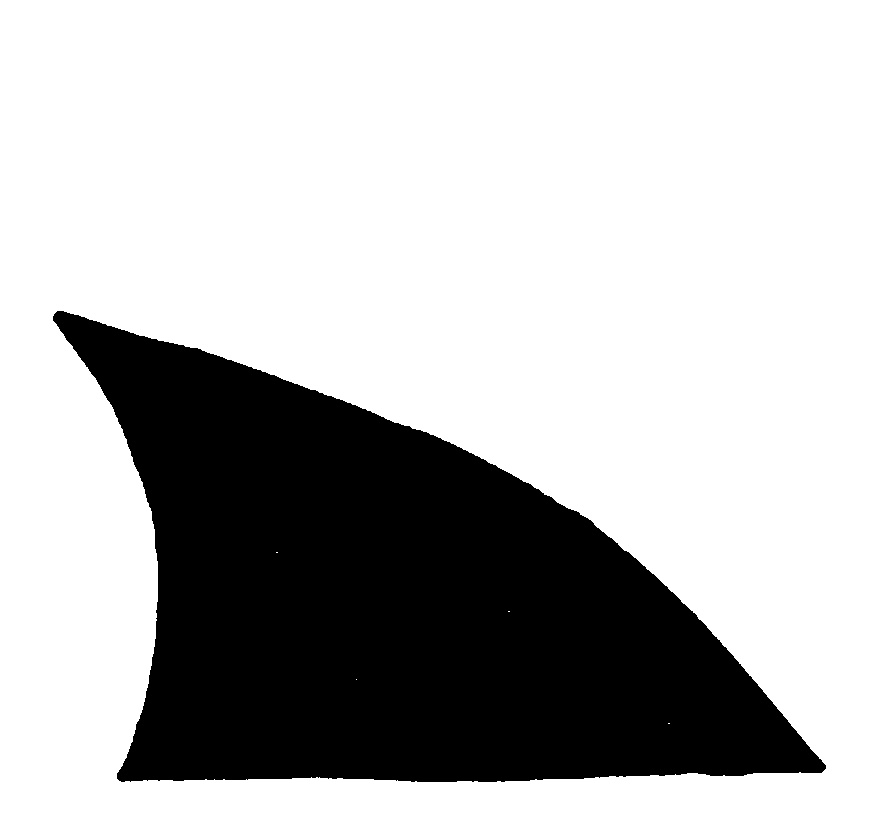 Shark Fin Logo Shark S Fin   Cli