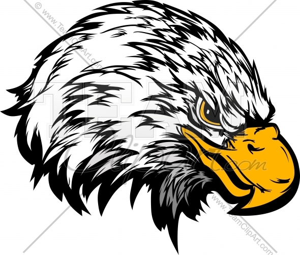 Eagle Head Mascot Vector Clipart Image   Team Clipart  Com   Quality