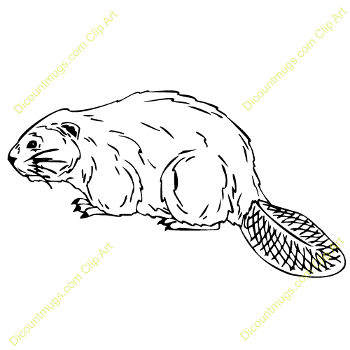 Clipart 12847 Beaver   Beaver Mugs T Shirts Picture Mouse Pads