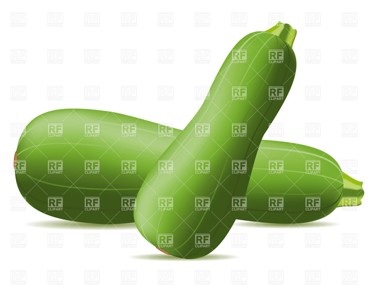 Zucchini Download Royalty Free Vector Clipart  Eps
