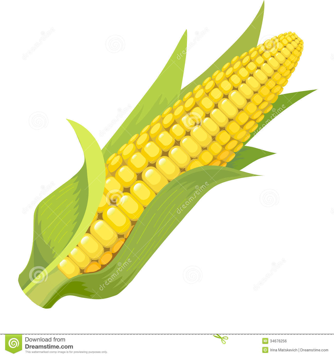 Clipart Corn Corn Crop Clipart Maize