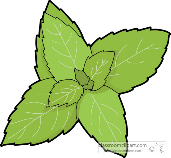 Herbs And Spice   Mint Herb   Classroom Clipart