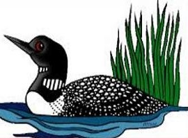 Clip Art Loon Picture